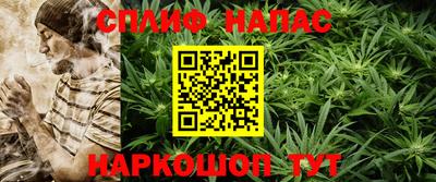 ешки Будённовск